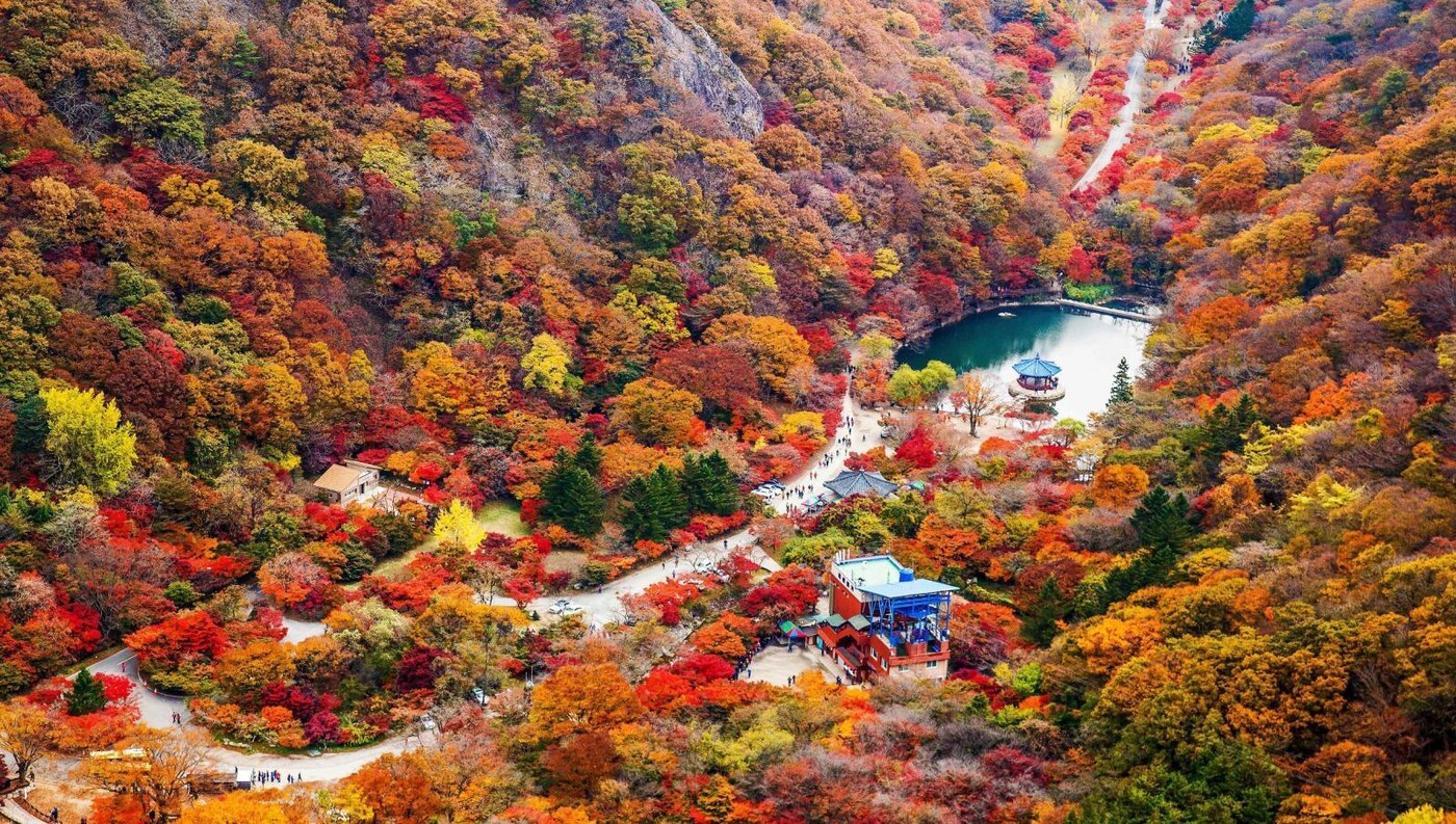 楓紅山谷空中鳥瞰景色