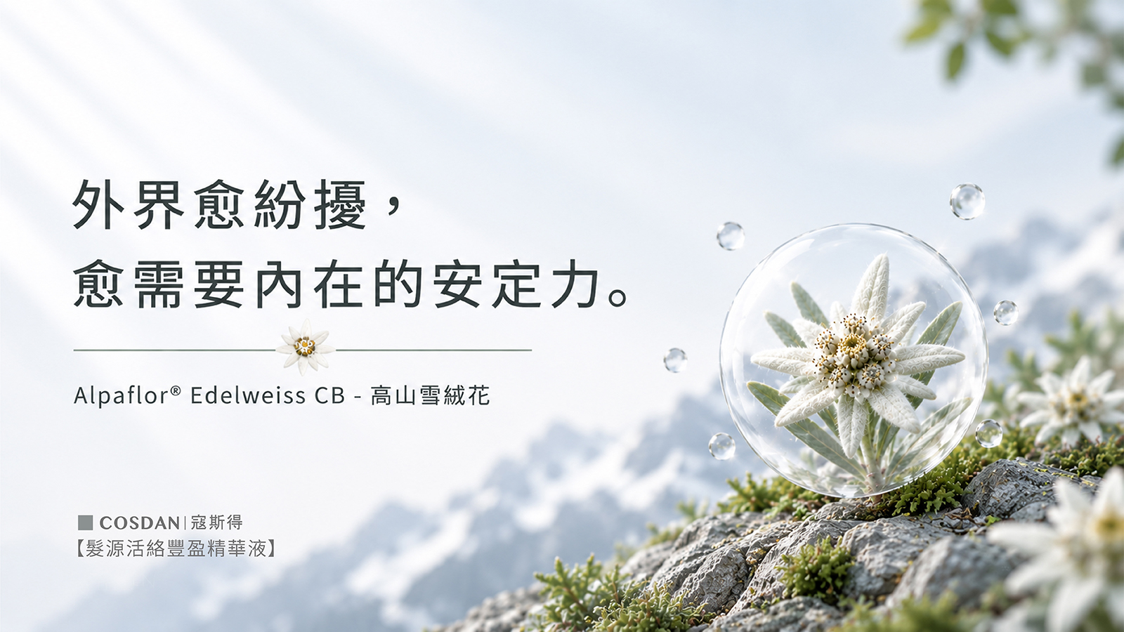 Alpaflor Edelweiss CB 瑞士高山雪絨花