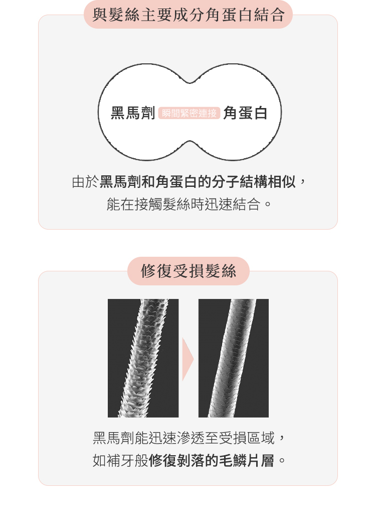 黑馬劑角蛋白髮絲修護原理