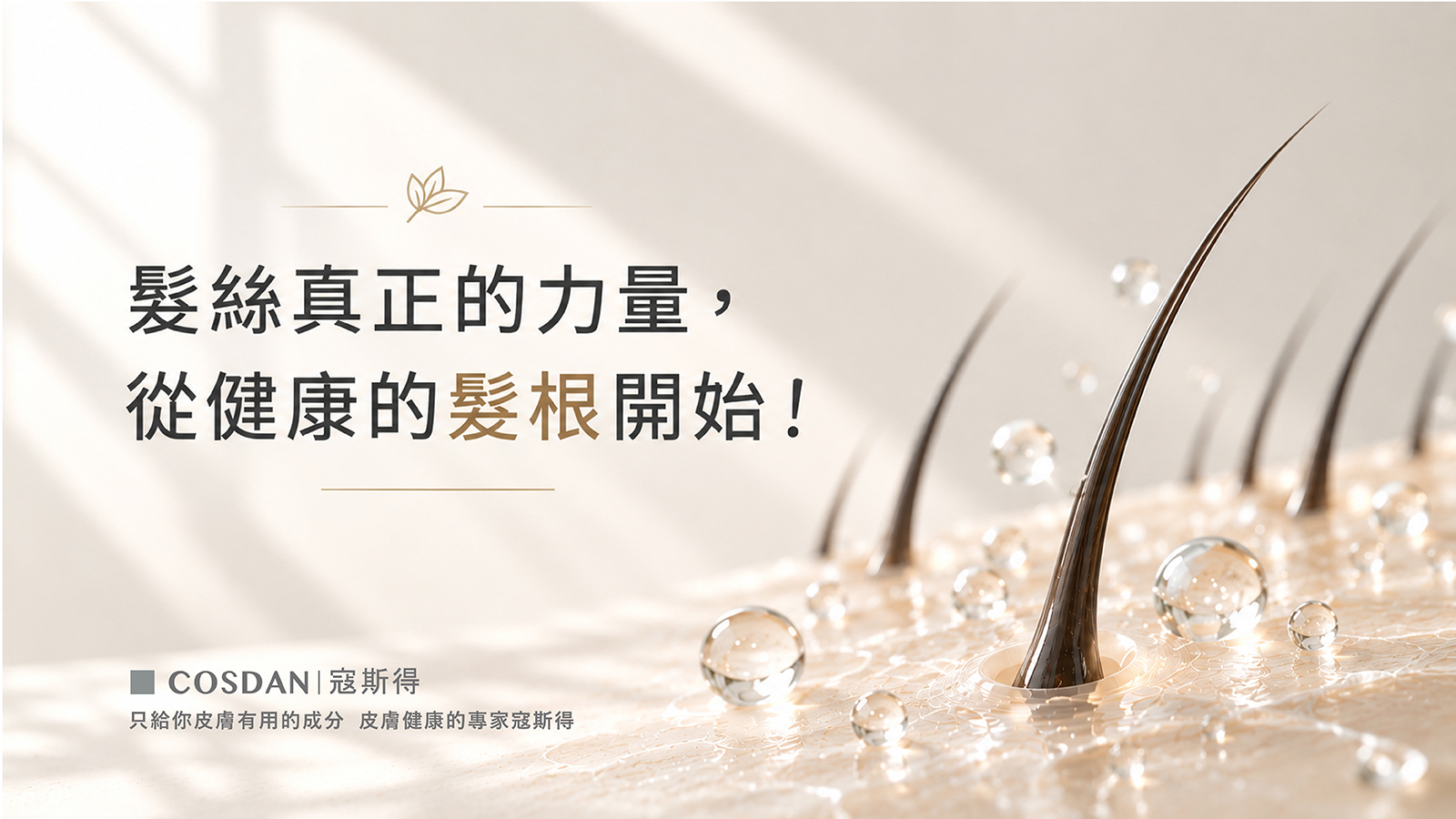 健康髮根 頭皮是髮絲生長的土壤