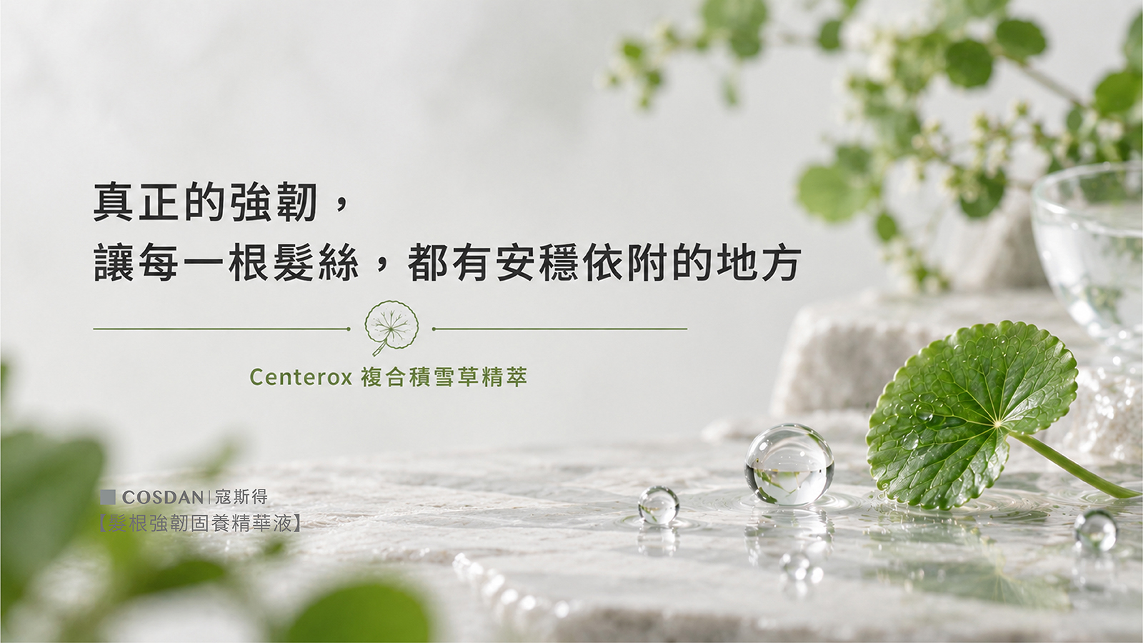 Centerox 複合積雪草精萃