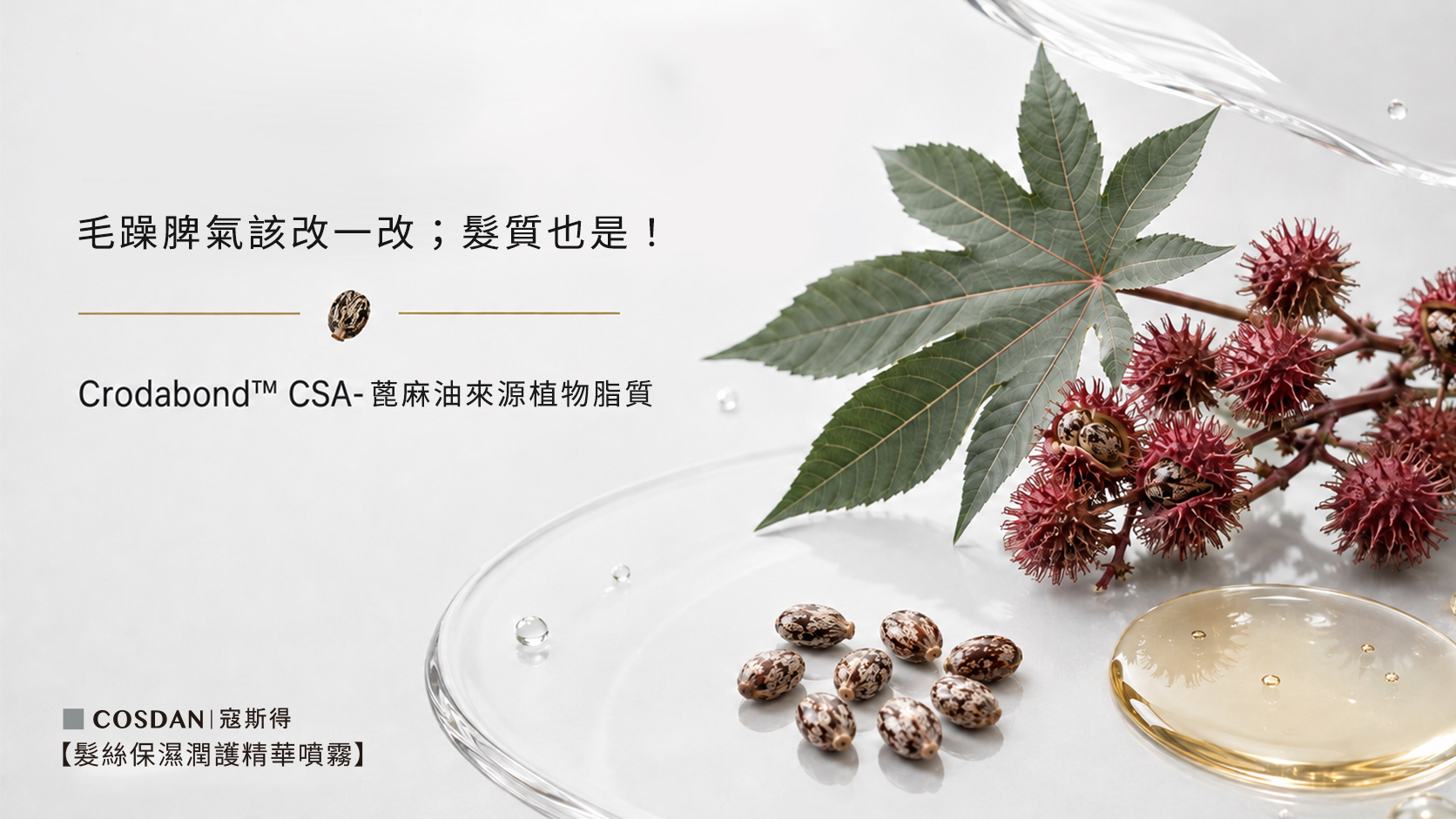 Crodabond CSA 蓖麻油來源植物脂質