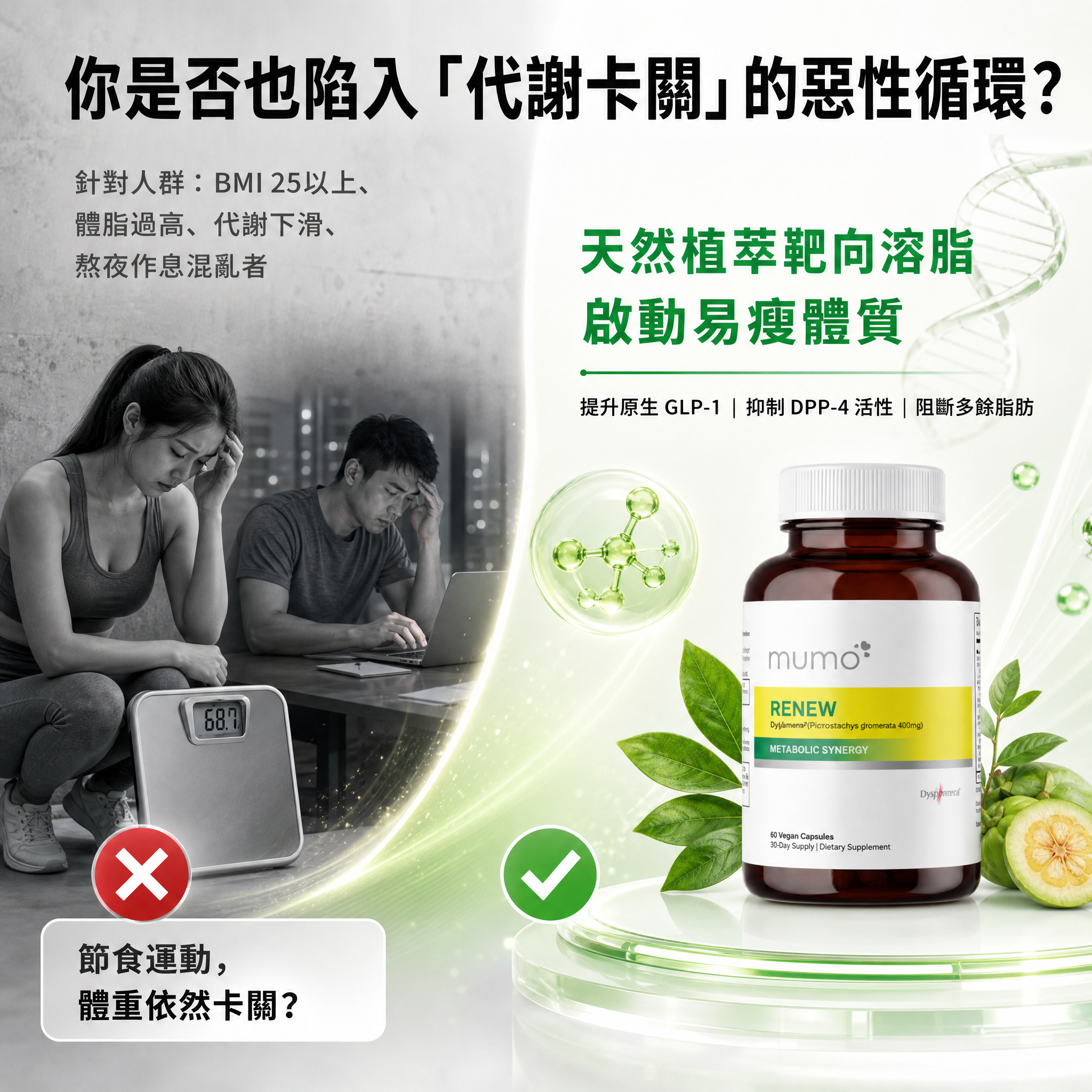 MUMO (4boxes)RENEW Metabolic Synergy(Dyglomera®400mg)