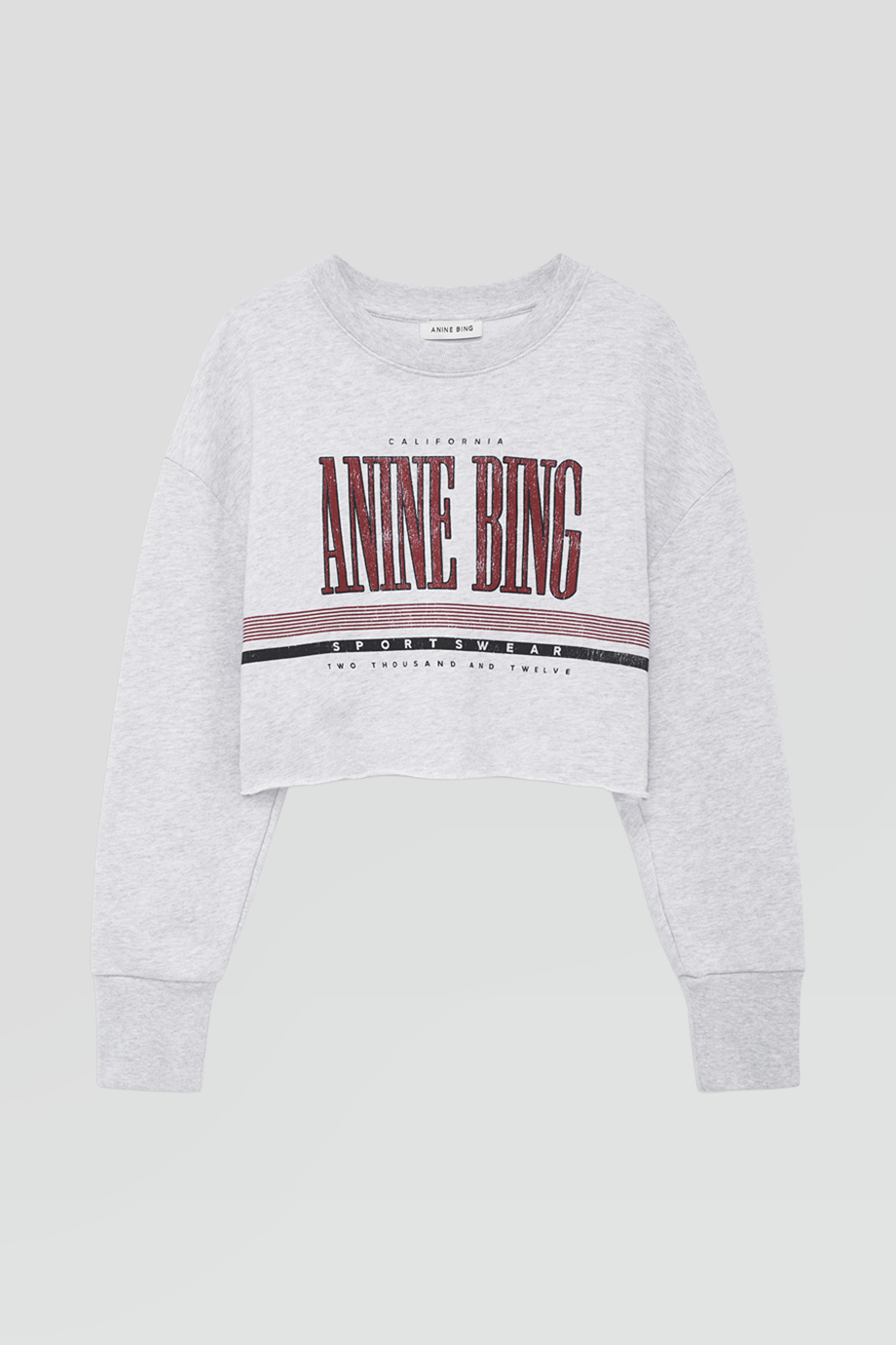 Anine Bing｜SPORTY 短版大學T