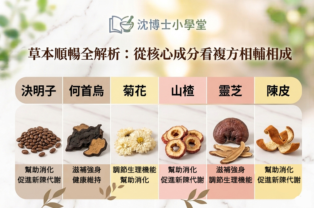 沈博士小學堂草本機能全解析：決明子幫助消化與促進新陳代謝、何首烏滋補強身與健康維持、菊花調節生理機能與幫助消化、山楂與陳皮幫助消化與促進新陳代謝、靈芝滋補強身與調節生理機能之六大天然植物複方核心功能對照圖