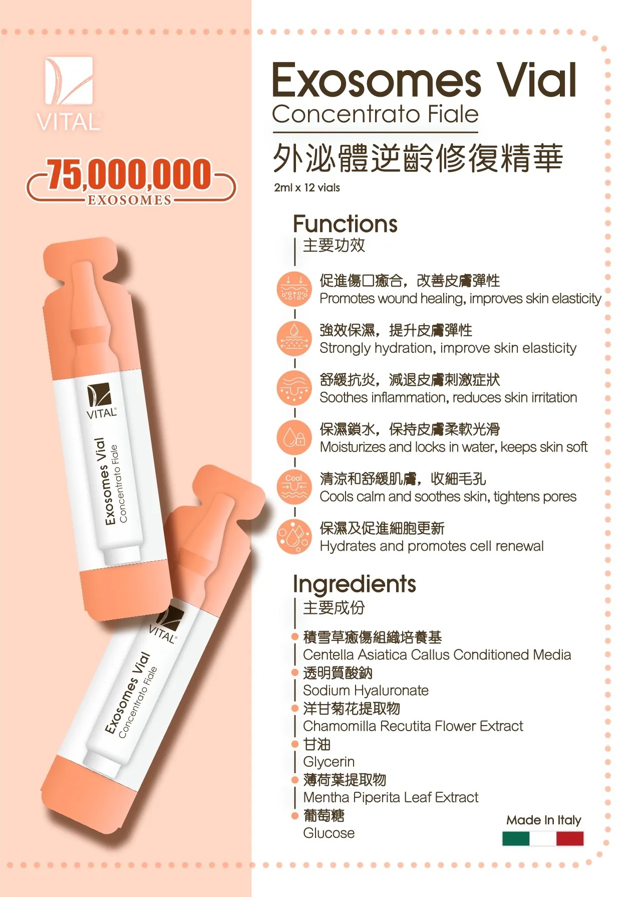 VITAL 外泌體逆齡修復安瓶精華 2ml x 6 支