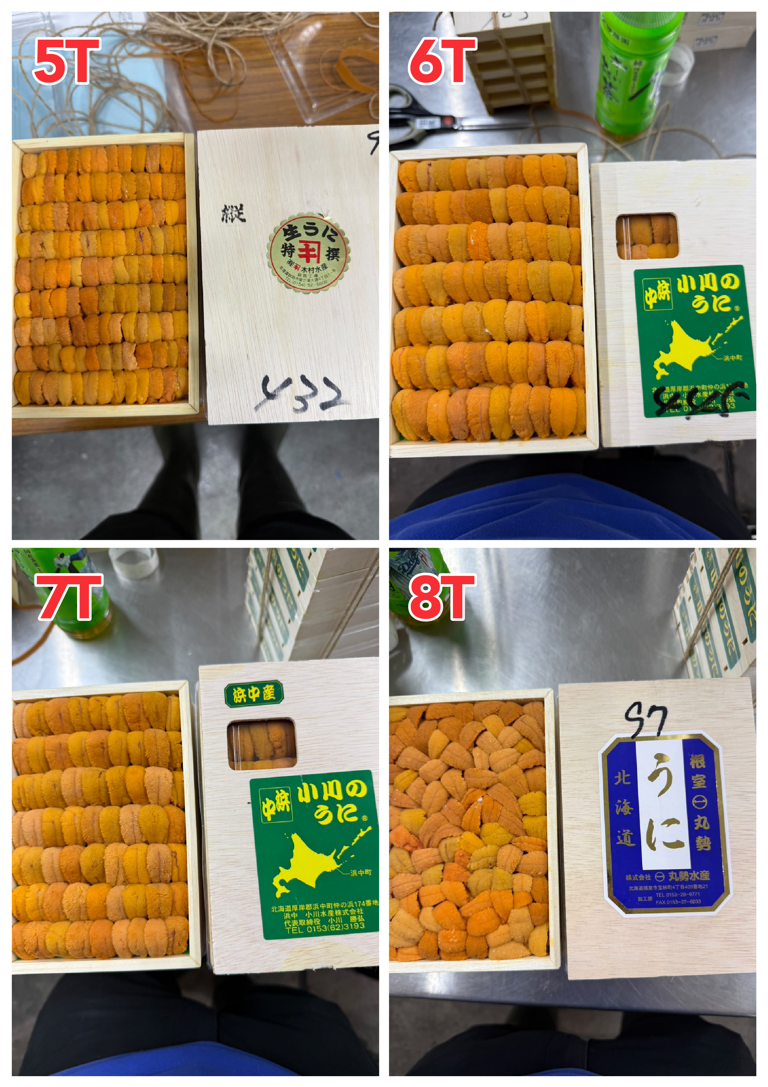 【Recommended Sea Urchin (Uni) Selection】 Updated Daily (Order Today for Next-Day Delivery)