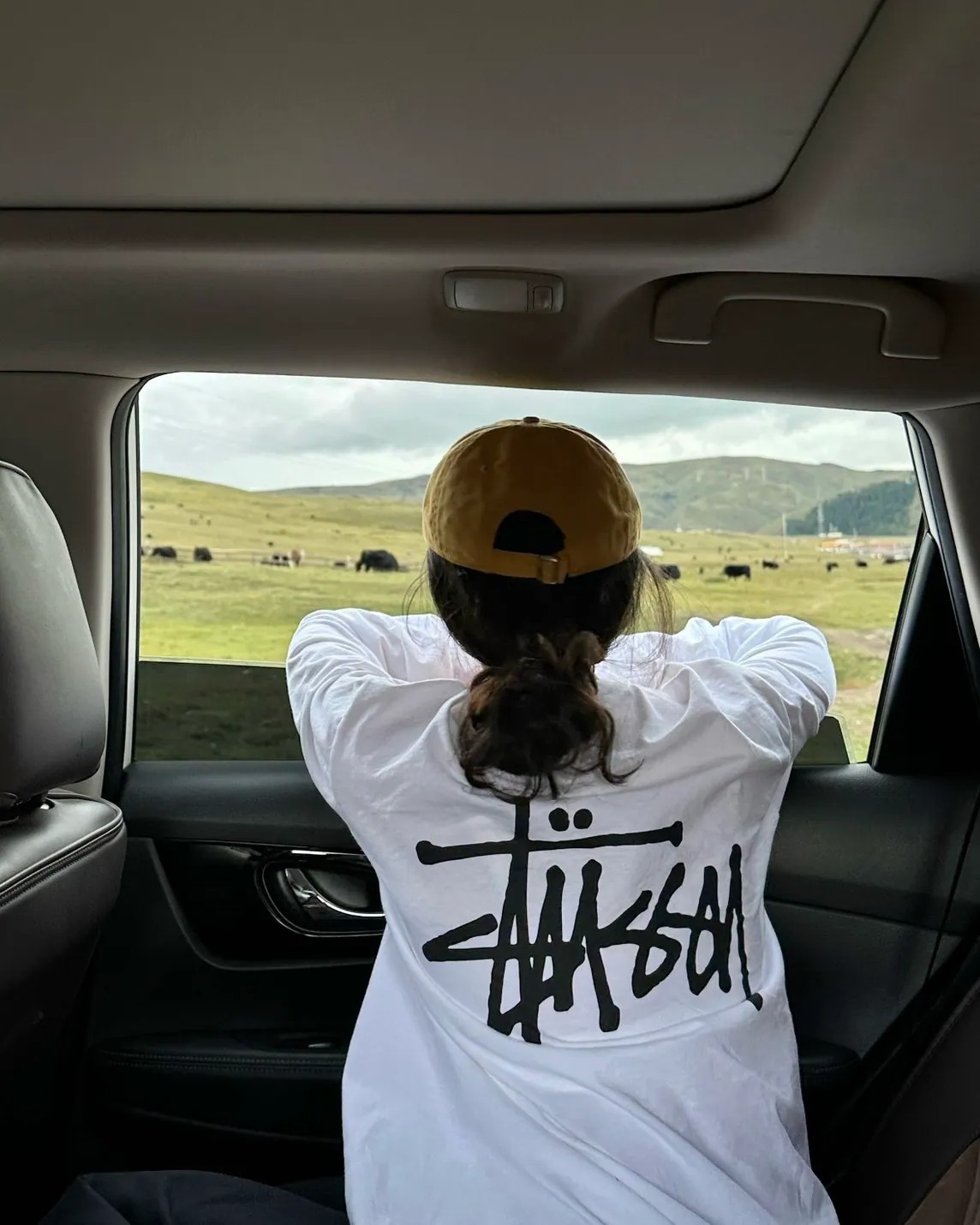 【預購】STUSSY BASIC LONG S 4色 SBLSD