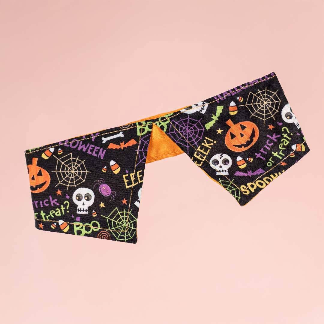 Halloween Collar (Black/Orange)