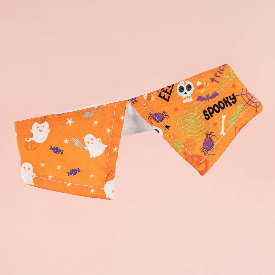 Halloween Collar (Orange/White)