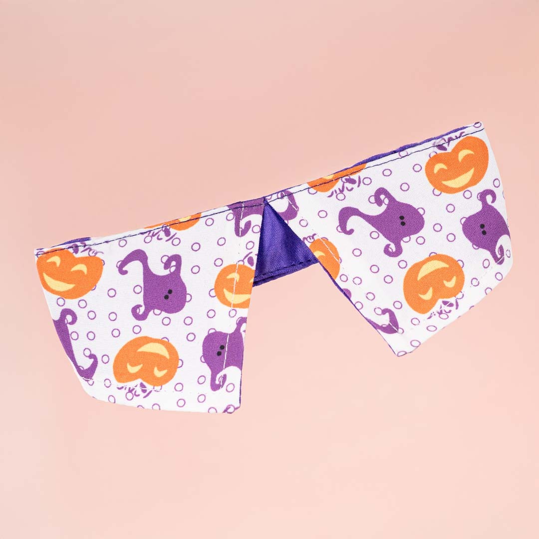 Halloween Collar (White/Purple)