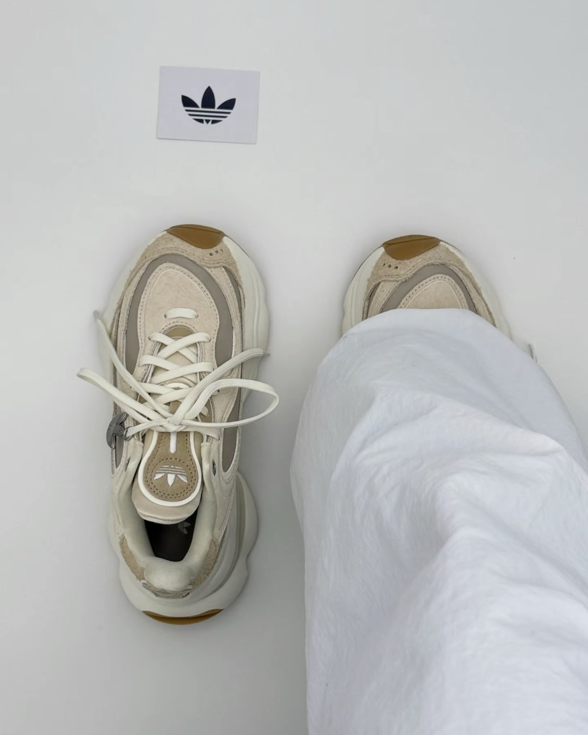 (預訂) Adidas Ozvenuz 奶茶色