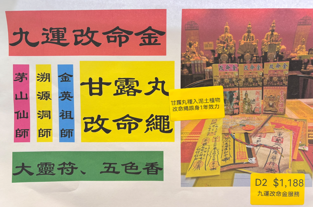 DL261008 - D2-九運改命金服務（會給回甘露丸種入泥土植物+改命繩1年效力）（需提供中文全名+性別+西/農歷出生年月日時分+居住地址）