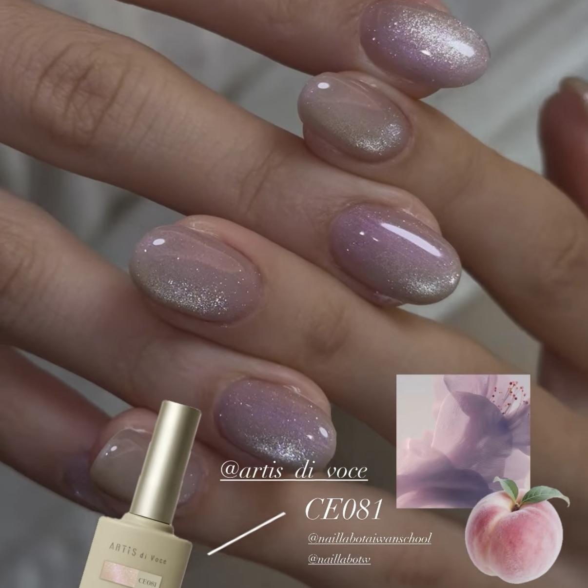 CE081 貓眼 ARTiS di Voce