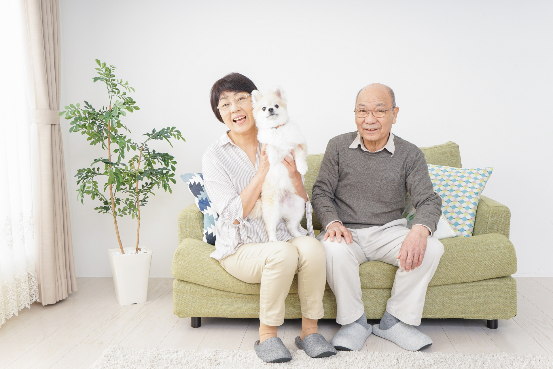 年長夫婦與愛犬