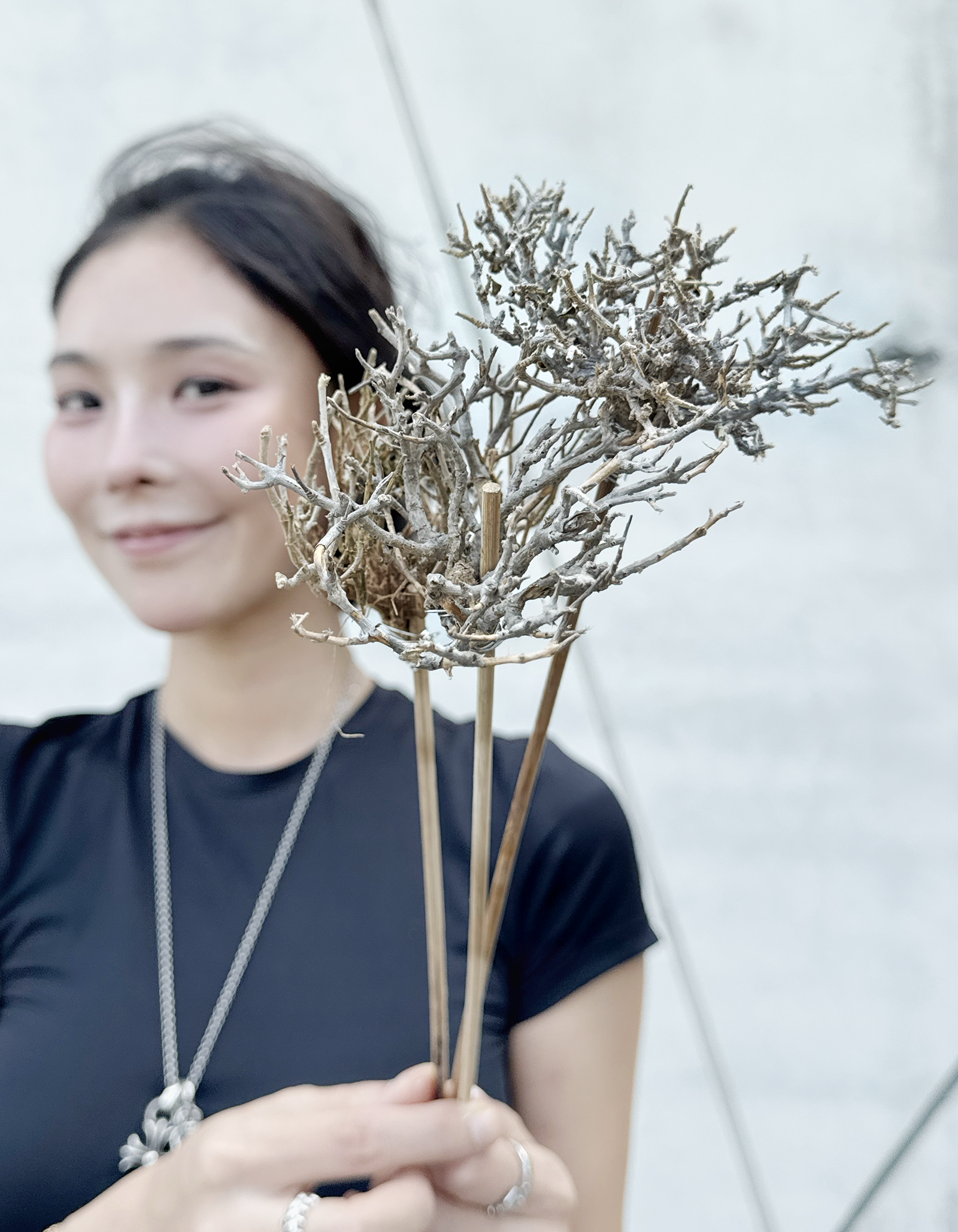 雪花枝