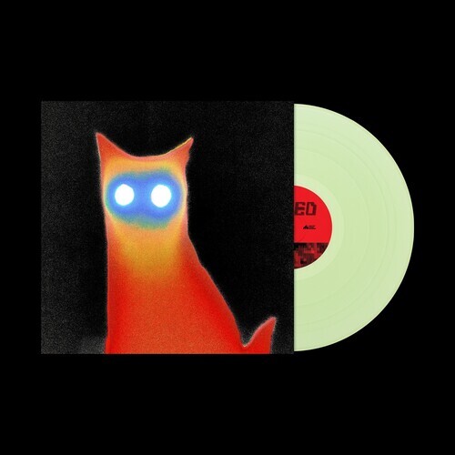 Basement - WIRED LP [Coke Bottle Clear]
