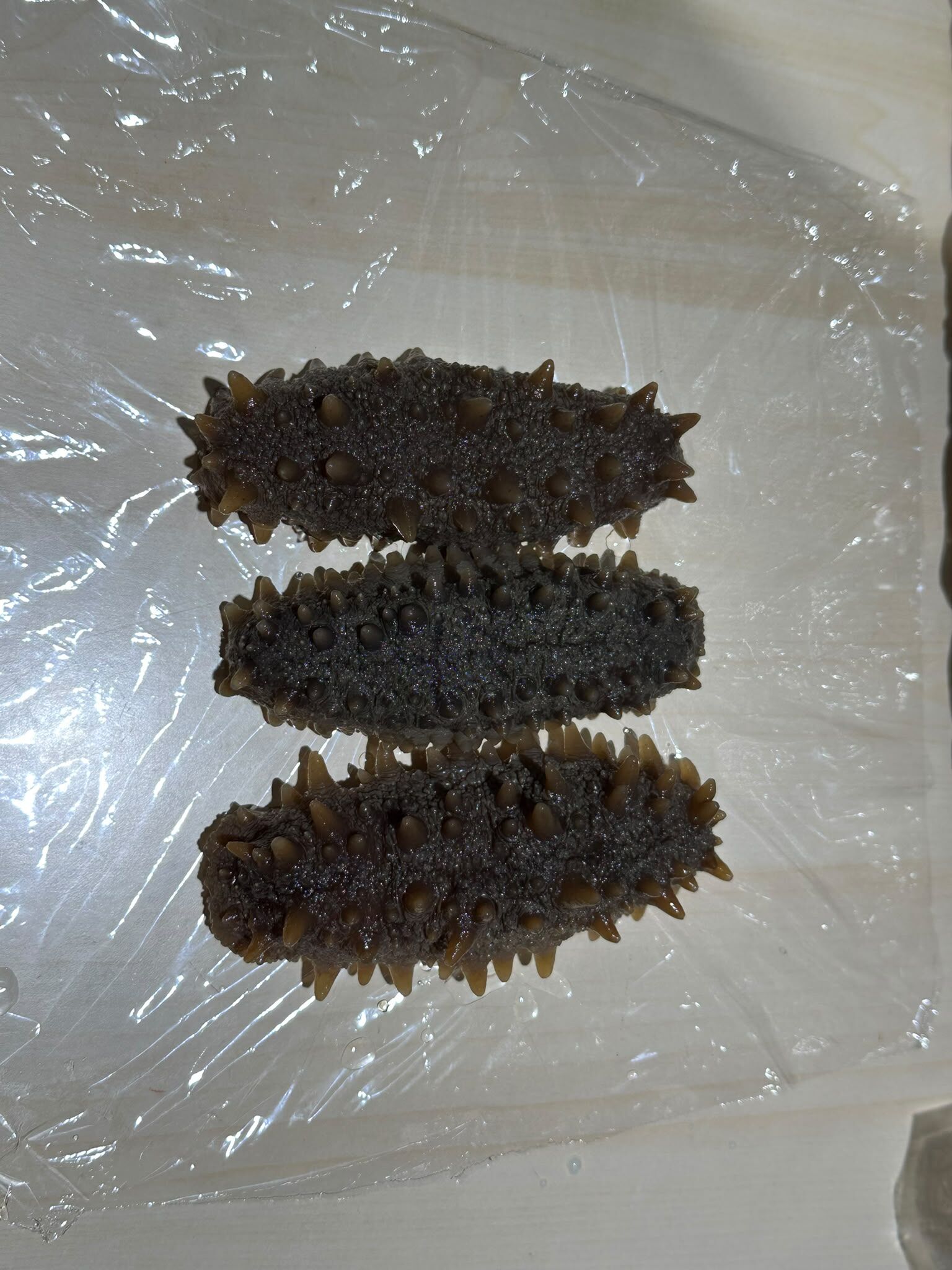 FH025 購物滿$1000加購品：[永瑞行] <急凍>已泡發北海道遼參3支 350-400g