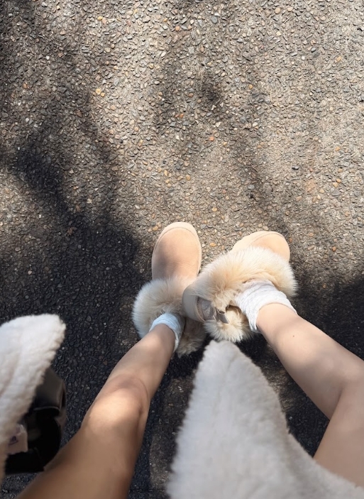 UGG Ozlana 2026AW Shoes Collection