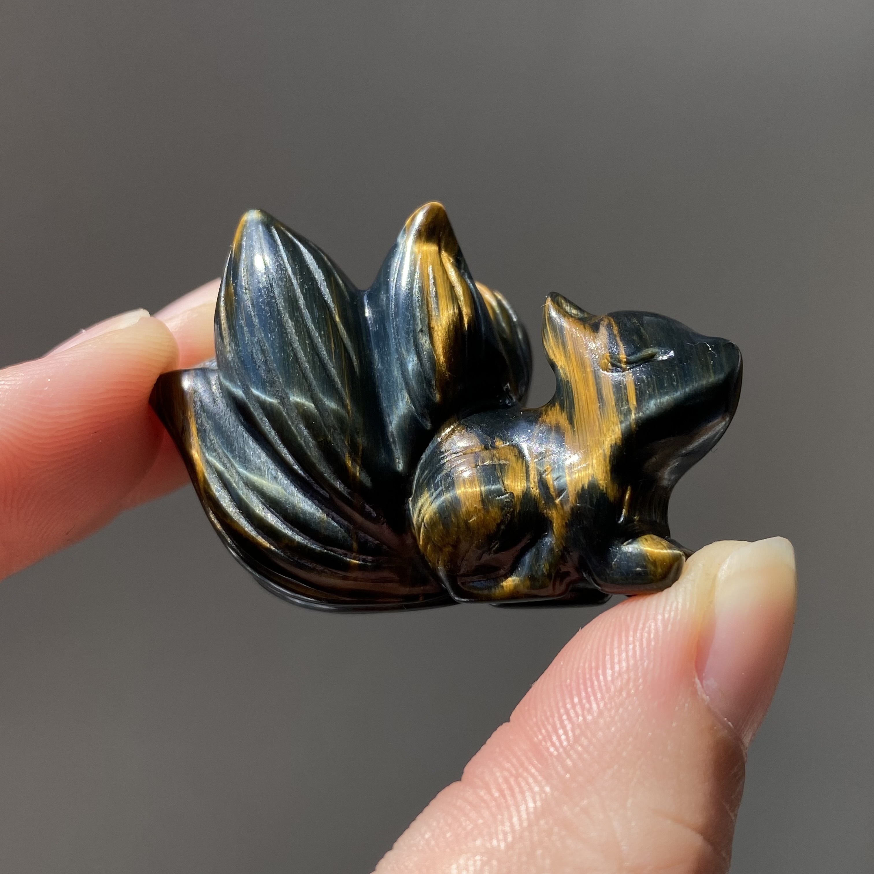 黃藍虎眼蓮花九尾狐