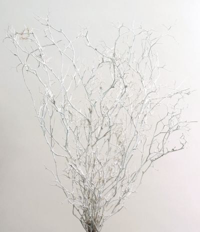 日本大地農園糙蘇枝條/雪花木