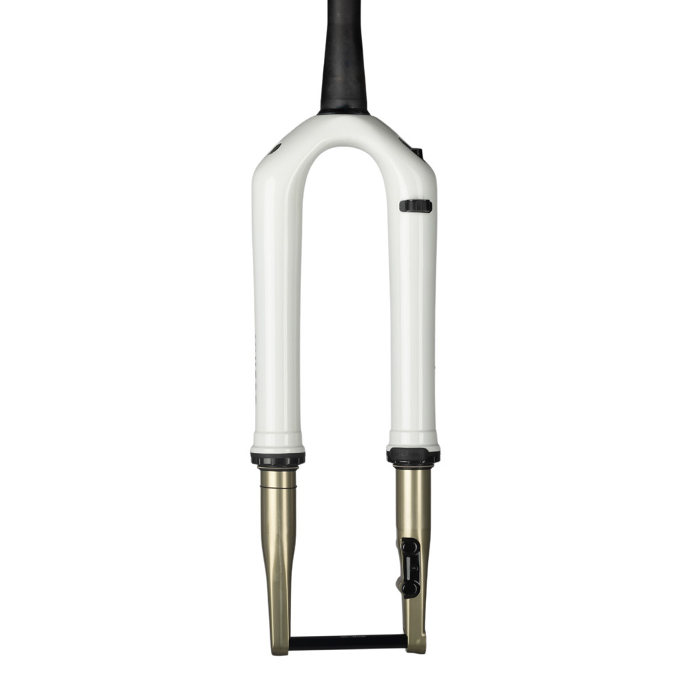 Cane Creek Invert CS Gravel 避震前叉 Tuxedo White Edition