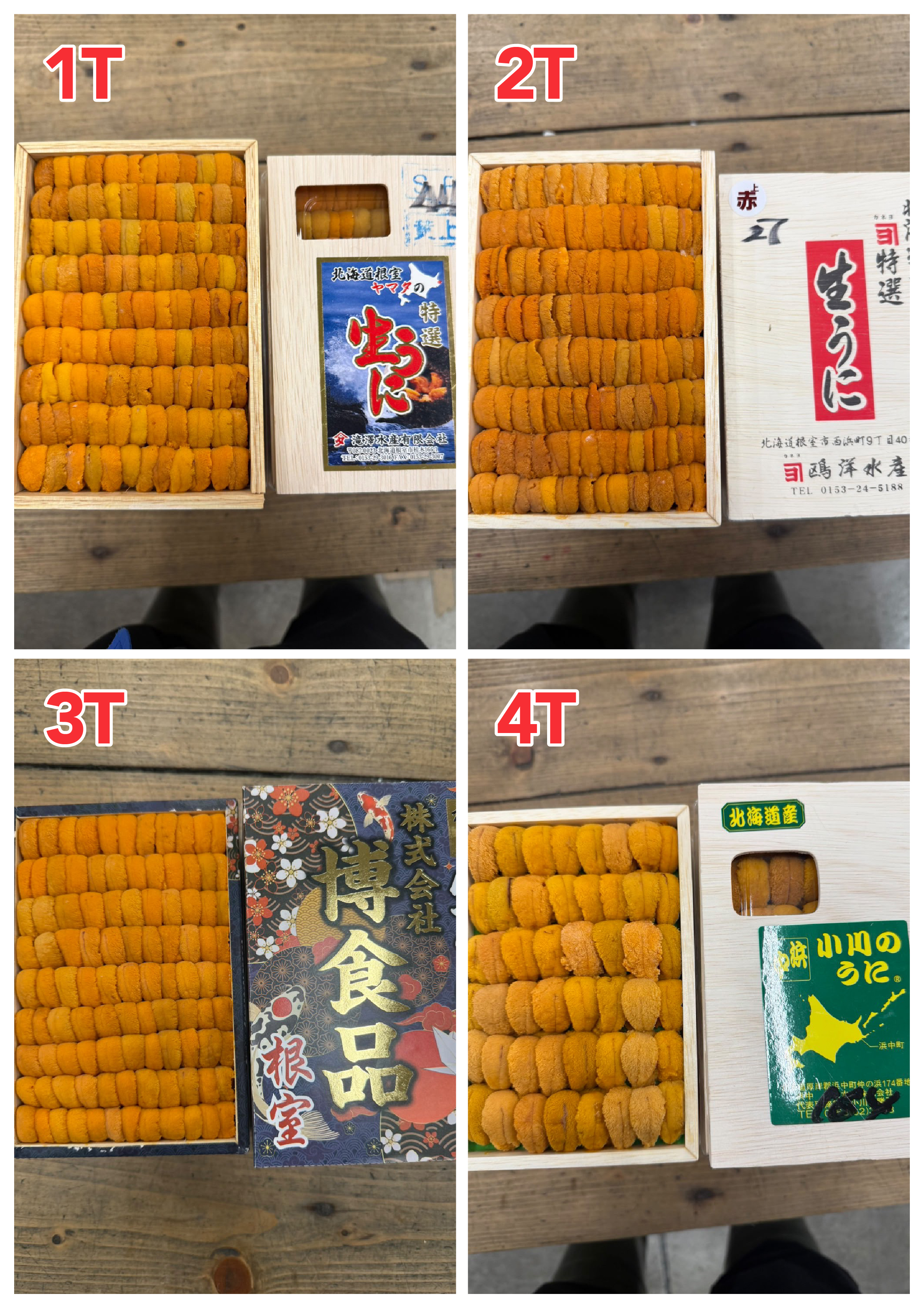 【指定海膽推薦】每天更新 (限即日落單, 翌日送)