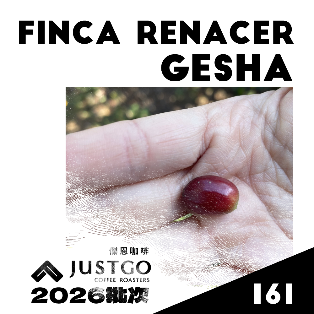 [生豆] 宏都拉斯 新生莊園 GESHA 厭氧水洗