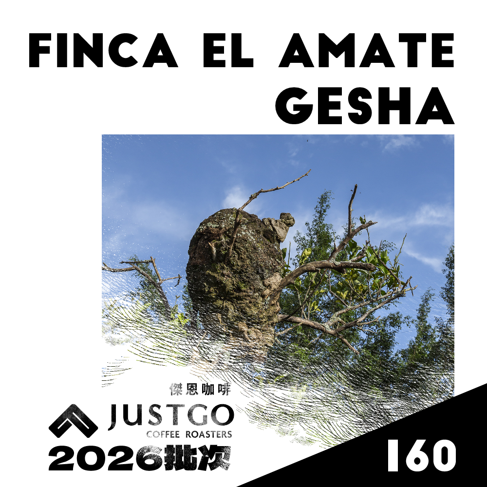 [生豆] 宏都拉斯 阿瑪特莊園 GESHA 水洗
