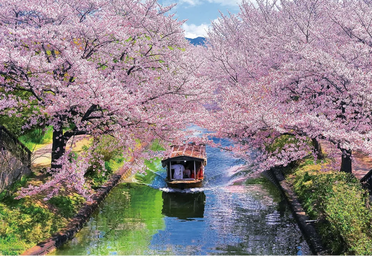 櫻與伏見重石船（京都） (世界最小)