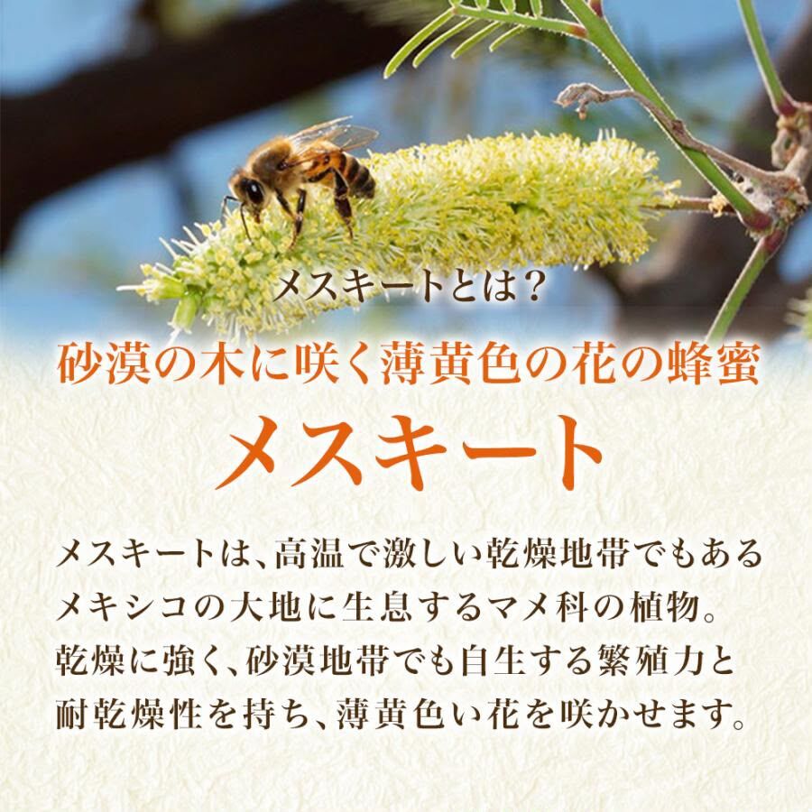 【山田養蜂場】牧豆樹蜂蜜（墨西哥產）300g (J2610 YB745)