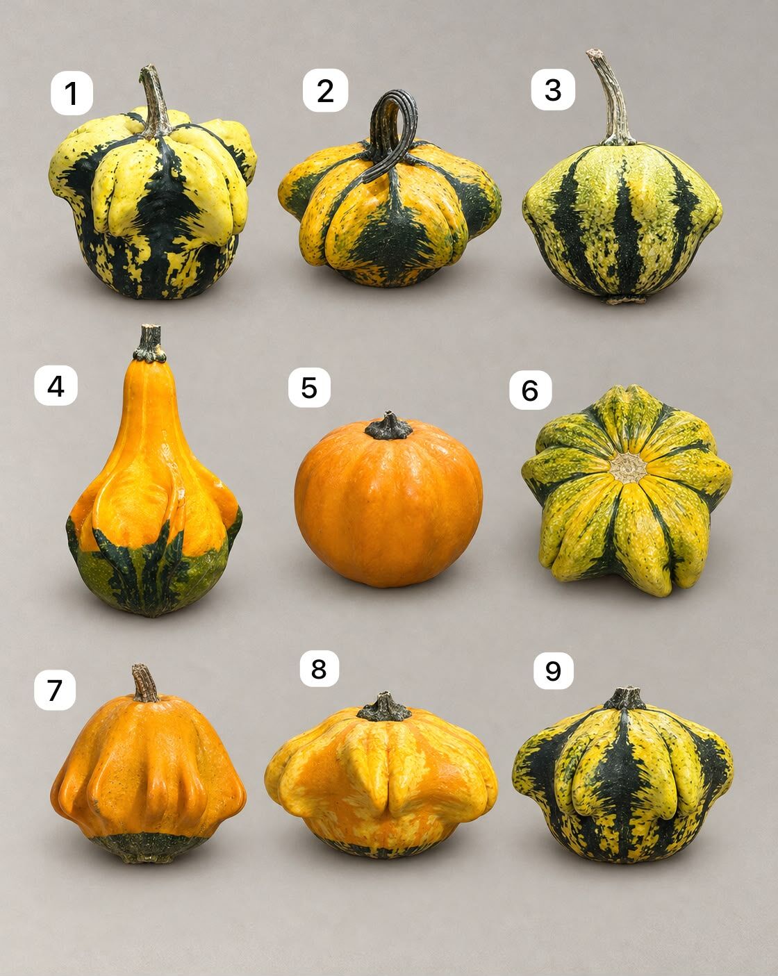 萬聖節小南瓜 － HAPPY HALLOWEEN！