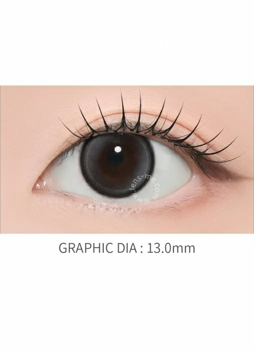 LensMe Fogveil 1 day (Gray)(10P)
