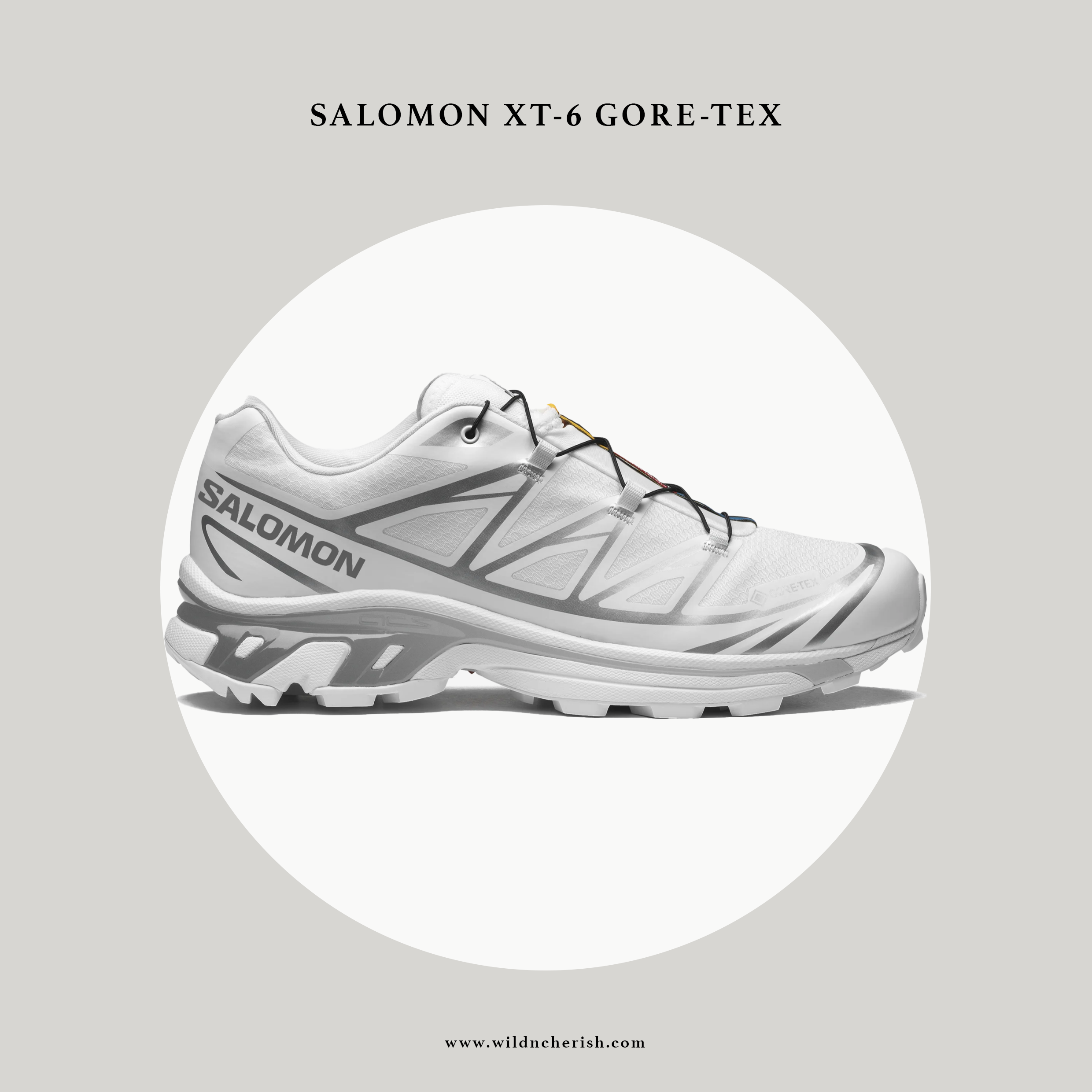 預訂 | Salomon S/LAB XT-6 Gore-Tex Advanced 防水 白銀色