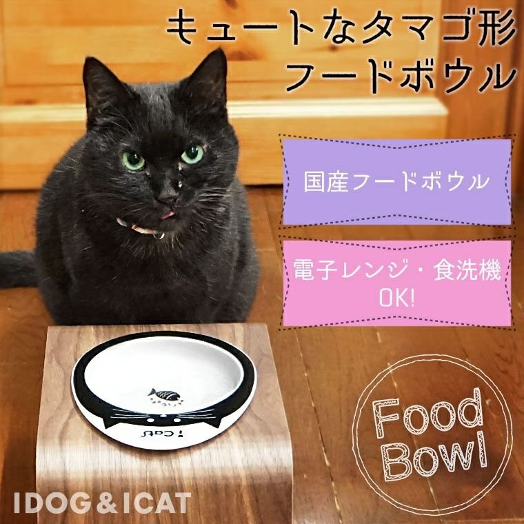 【iDog & iCat】Shallow Egg Food Bowl - Cat Face 《Made in Japan》