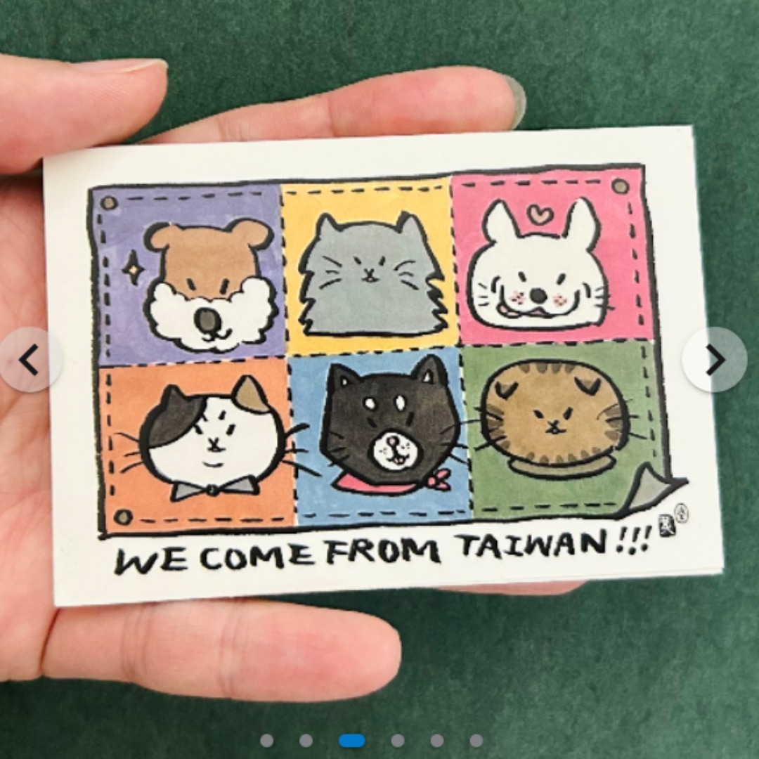 新款 貓貓驚喜貼紙包 五款入｜黃灻 台灣