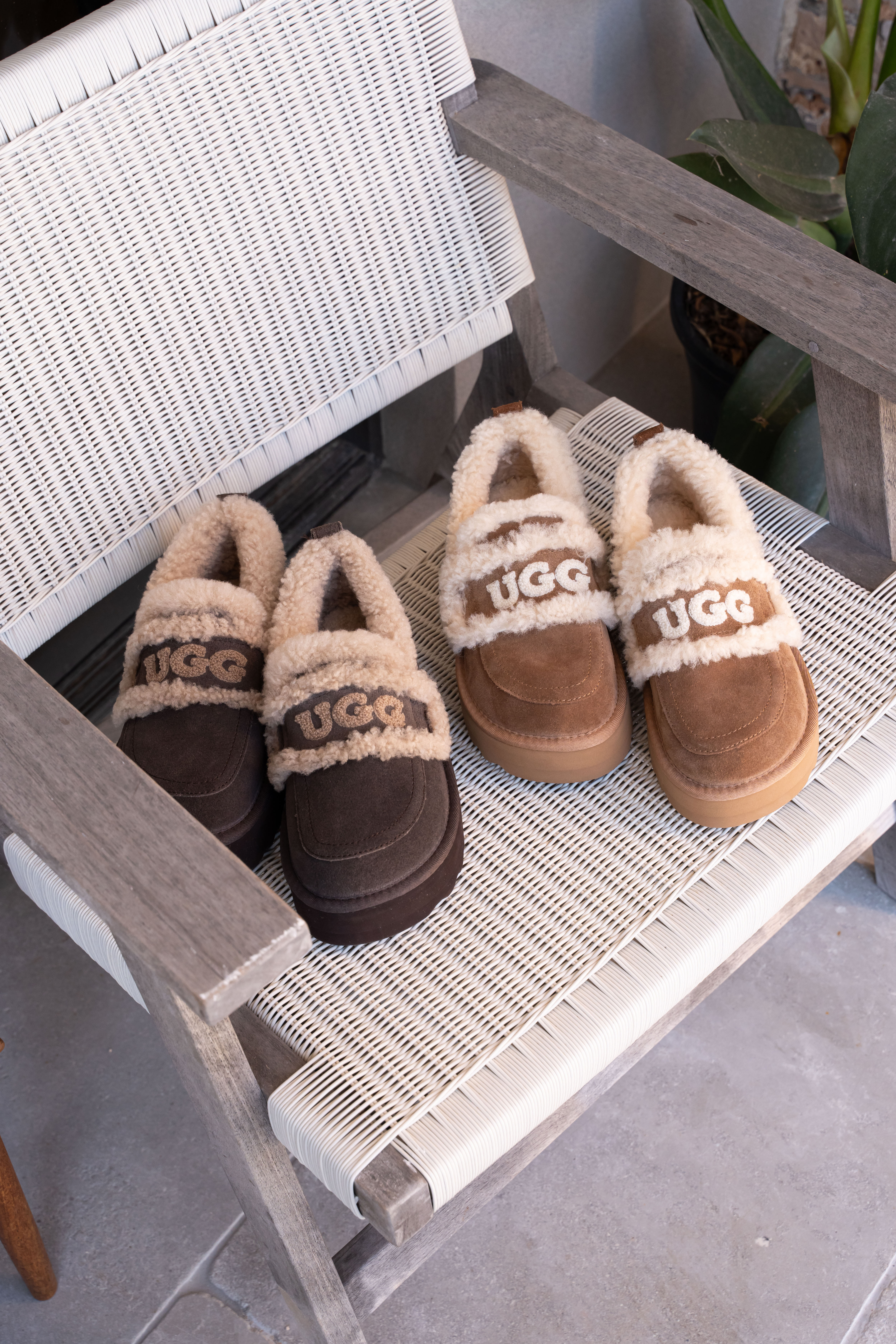 【5色入】UGG Ozlana 2026AW Logo Shearling Platform Loafer