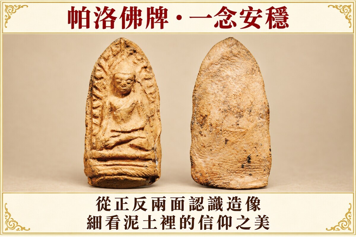 淺色帕洛佛牌正反面