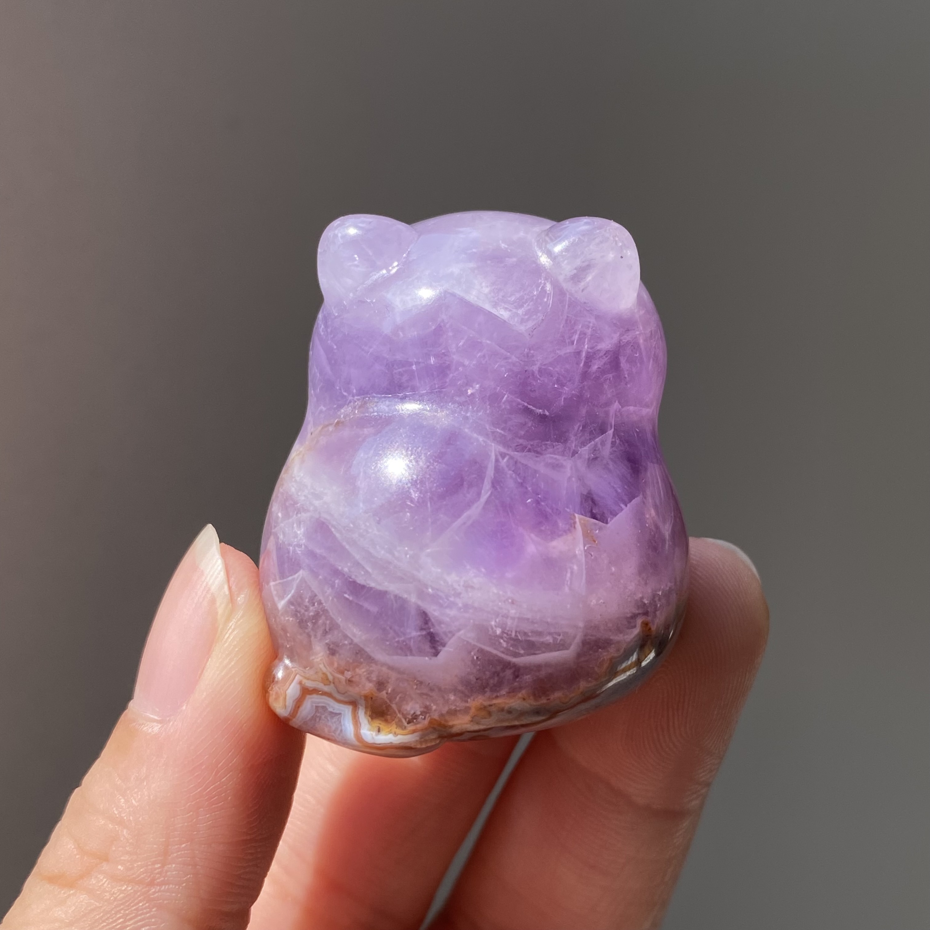 紫晶玛瑙海豹貓