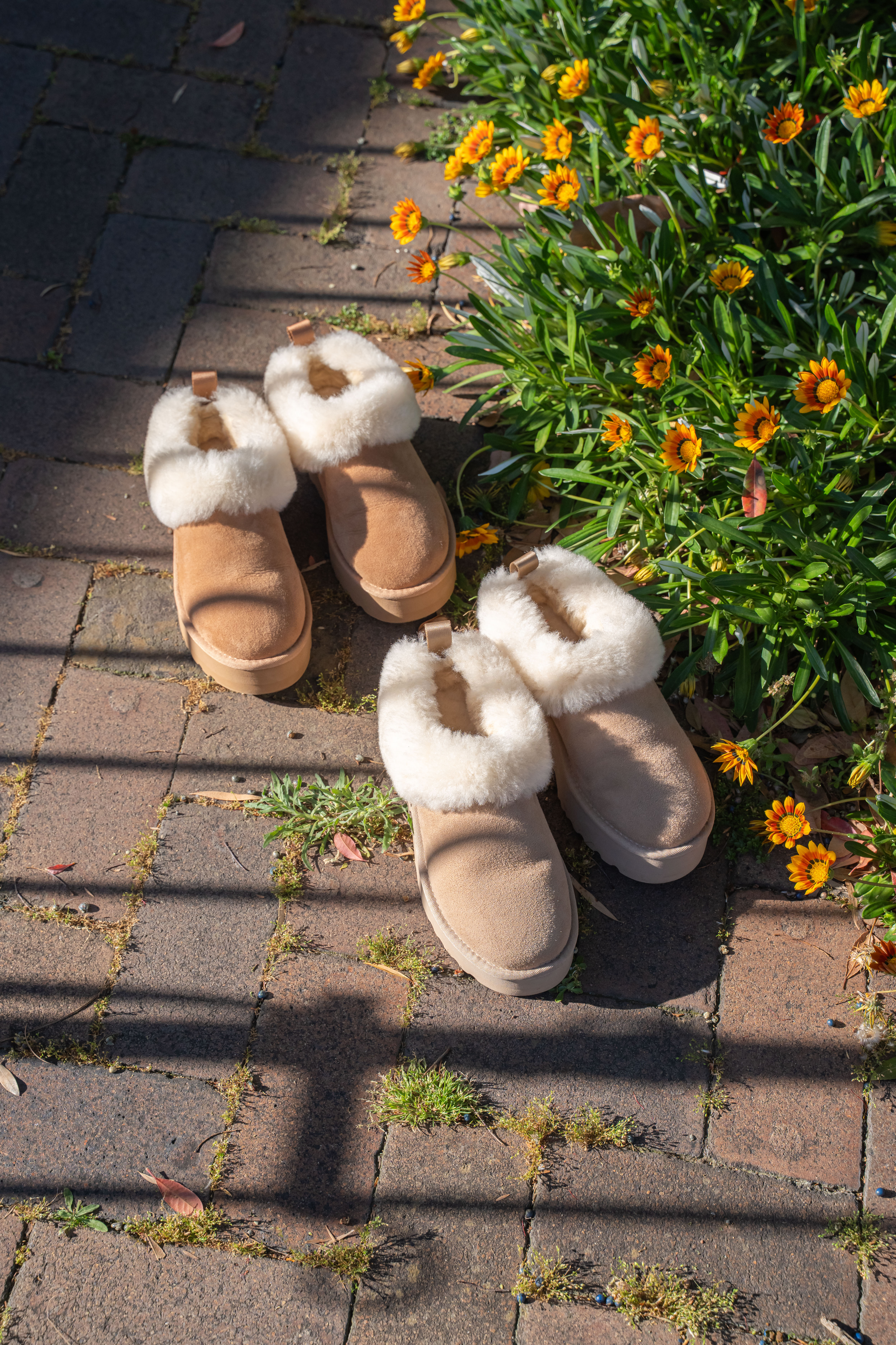 【3色入】UGG Ozlana 2026AW Tazzelle