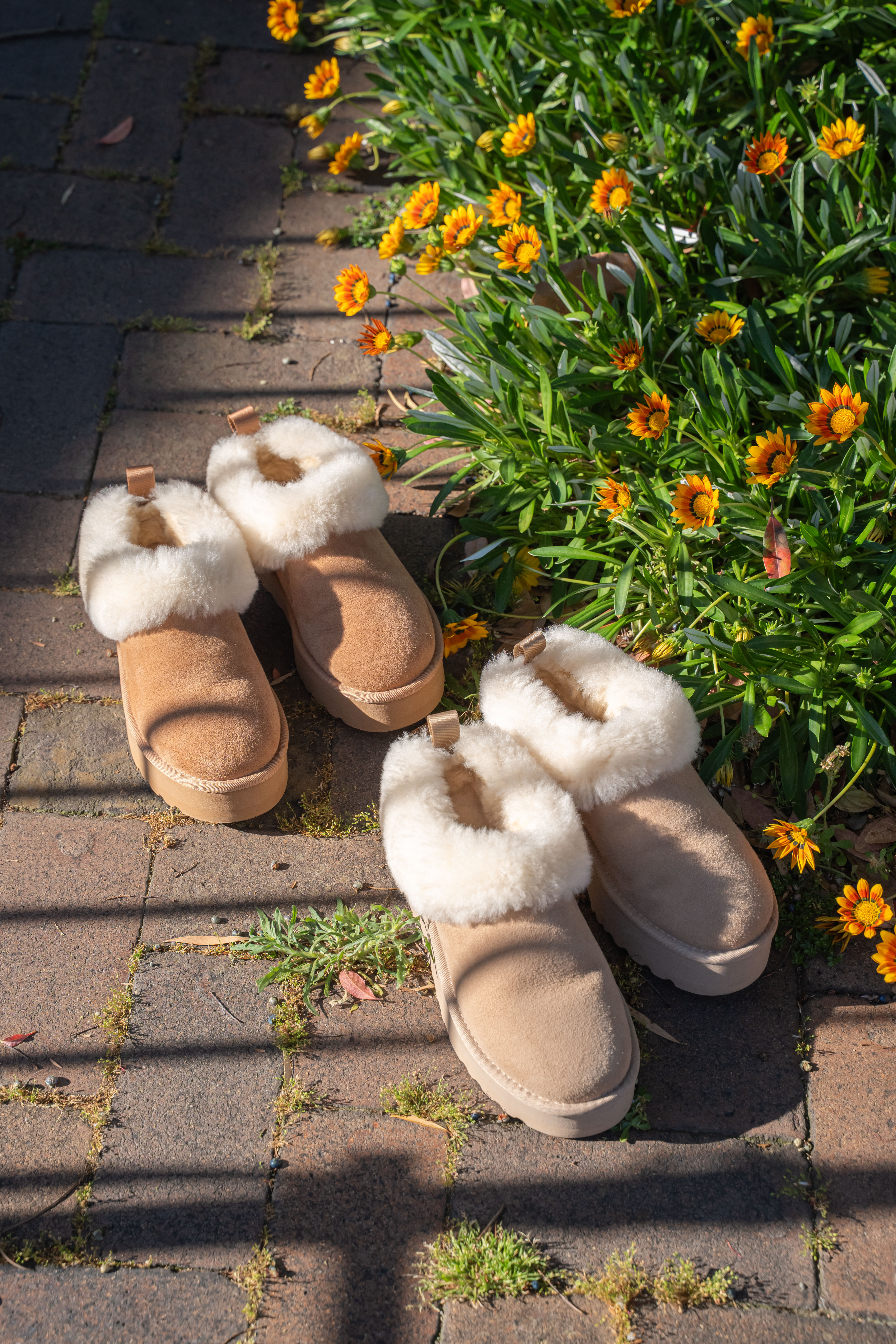 【3色入】UGG Ozlana 2026AW Tazzelle
