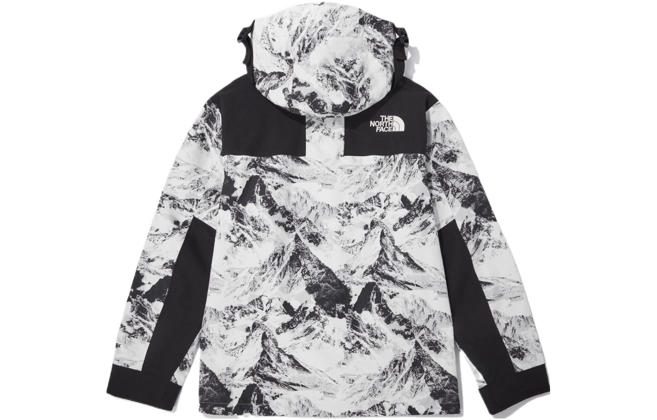 【代購】THE NORTH FACE Novelty Eco Gtx Mountain Jacket Nutral Gray Unisex Korea Version NJ2GN60B