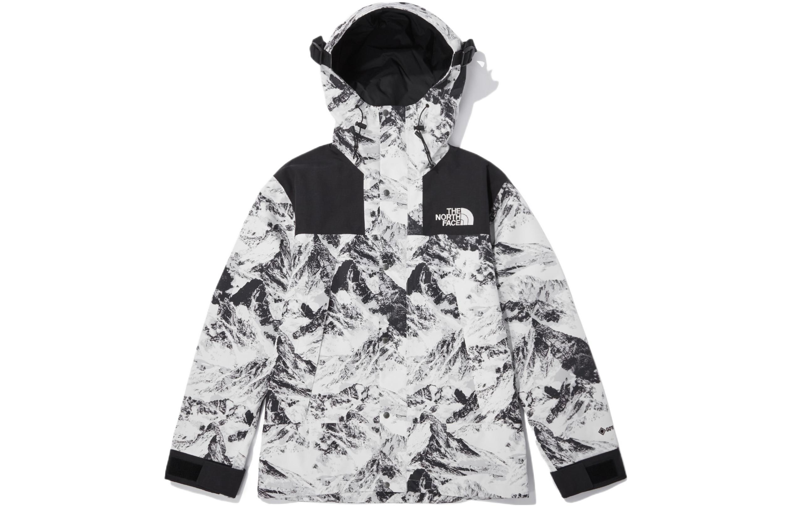 【代購】THE NORTH FACE Novelty Eco Gtx Mountain Jacket Nutral Gray Unisex Korea Version NJ2GN60B