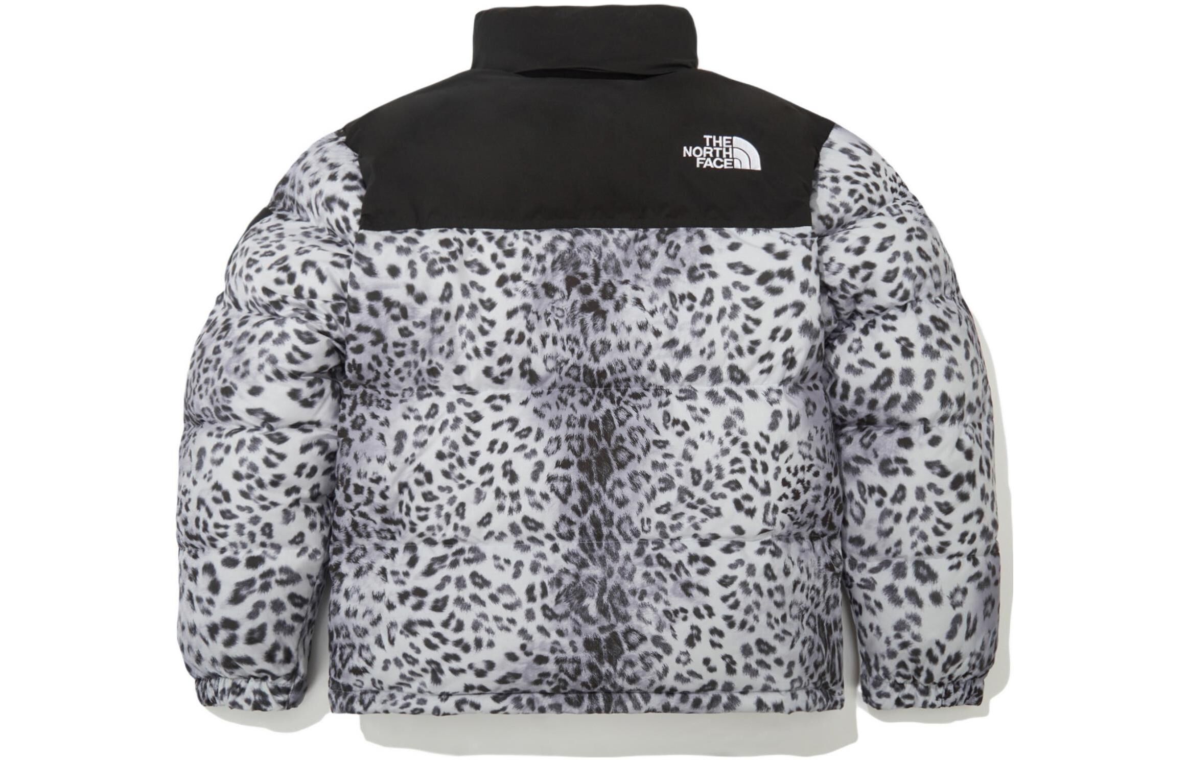 【代購】THE NORTH FACE Novelty Nuptse Down Jacket P Silver Unisex Korea Version NJ1DN51L