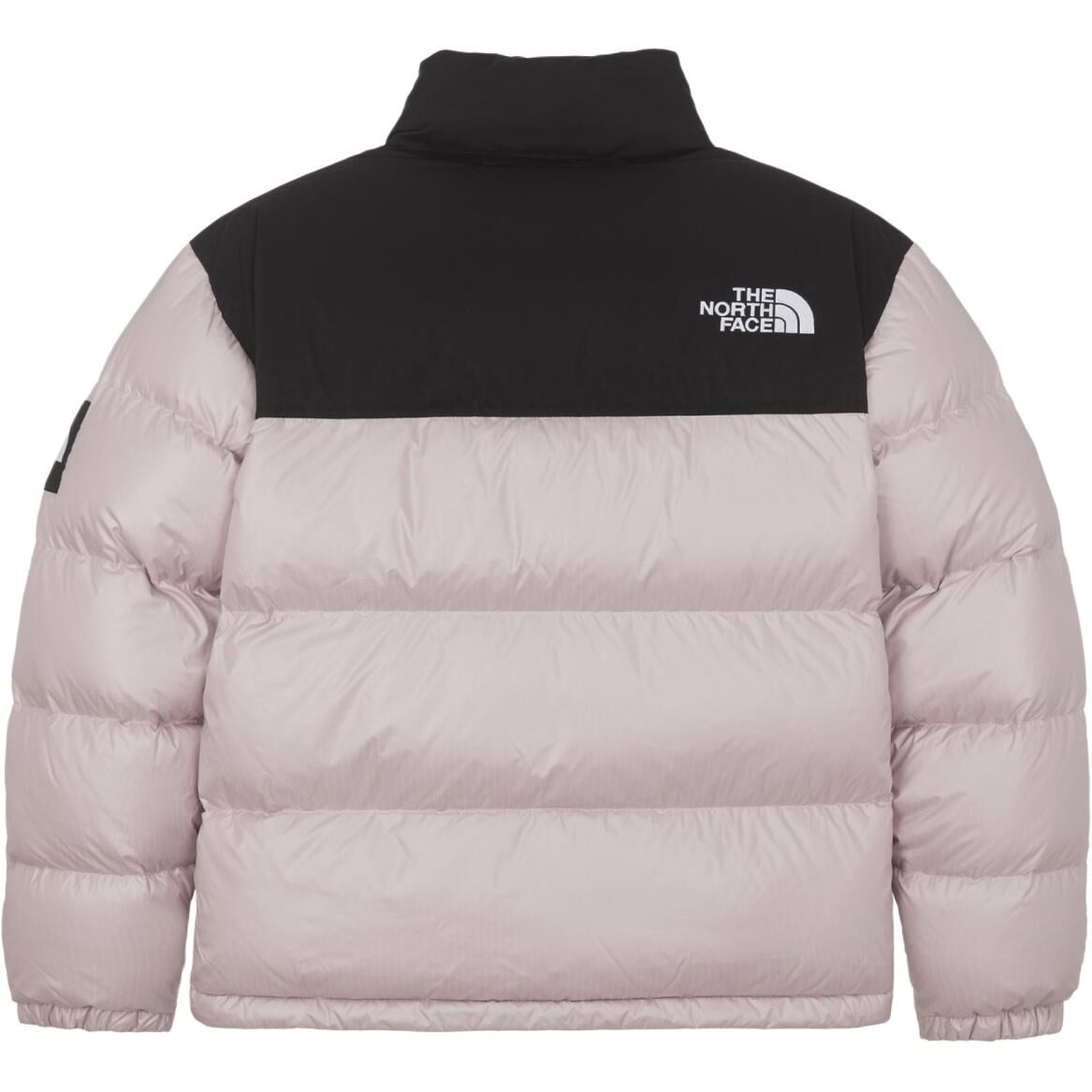【代購】THE NORTH FACE Novelty Nuptse Rds Down Jacket Unisex Korea Version NJ1DQ51N