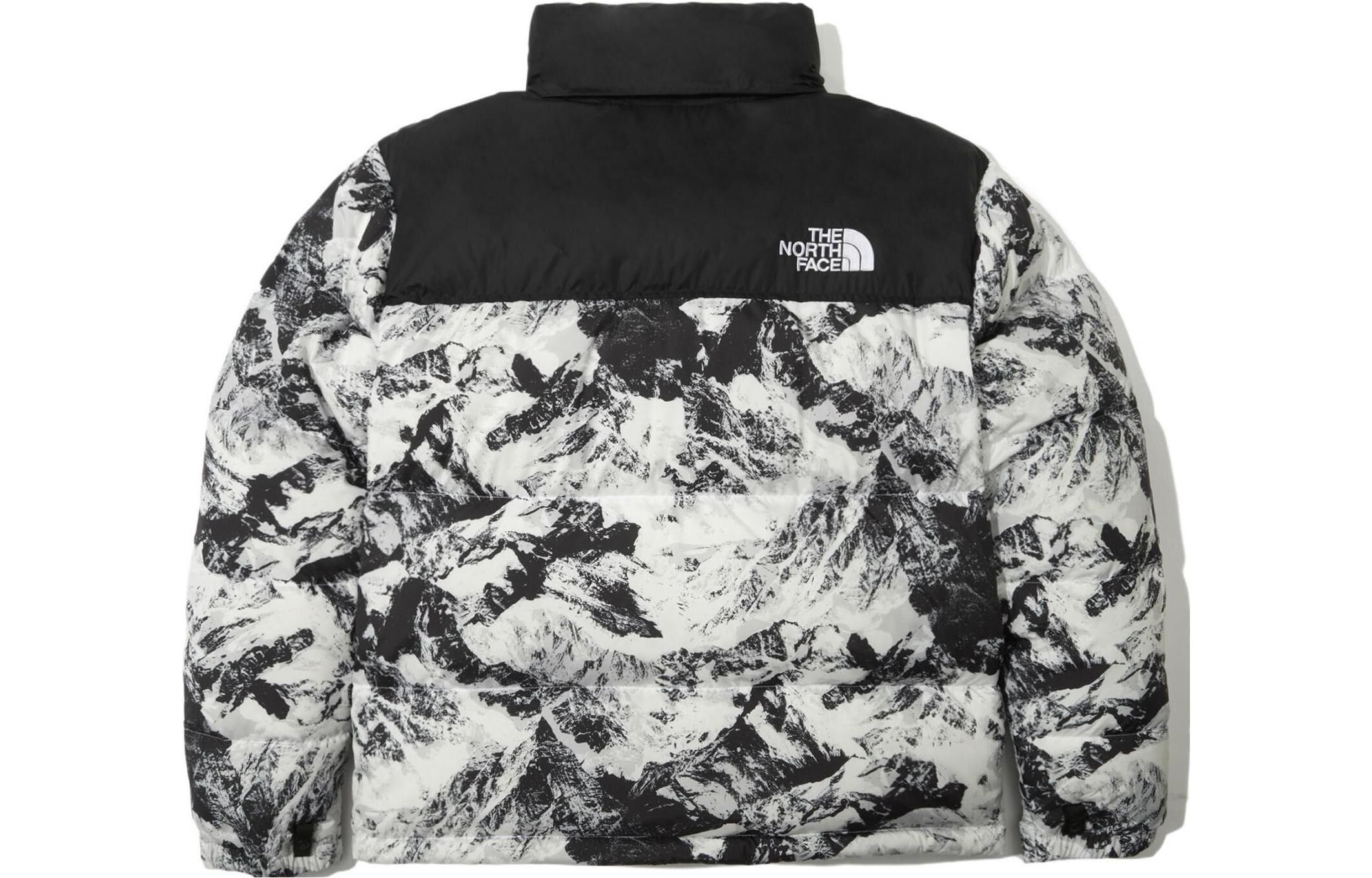 【代購】THE NORTH FACE 1996 Down Jacket Unisex White NJ1DN76A