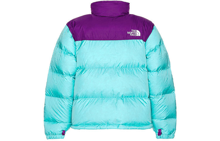 【代購】THE NORTH FACE 1996 Down Jacket Winter Men's Blue Purple NF0A3C8D-25D