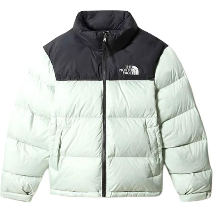 【代購】THE NORTH FACE 1996 Down Jacket Men's Mint Green NF0A3C8D-V39