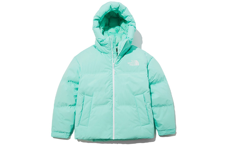 【代購】THE NORTH FACE 1996 Down Jackets Unisex Light Green Hooded (Non-detachable) Moderate NJ1DL80K