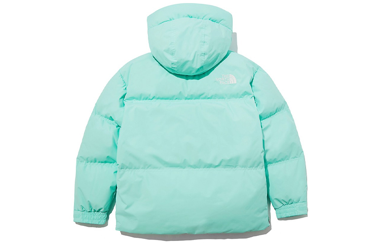 【代購】THE NORTH FACE 1996 Down Jackets Unisex Light Green Hooded (Non-detachable) Moderate NJ1DL80K